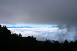 IMG_1718