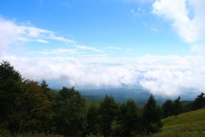 IMG_1971