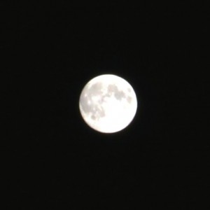IMG_0464