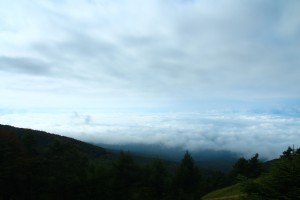 IMG_1976