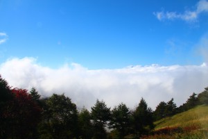 IMG_1982