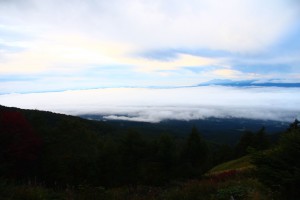 IMG_1989