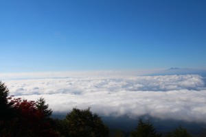 IMG_1991
