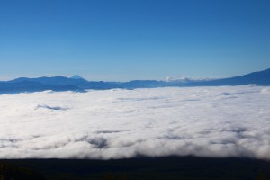 IMG_2013