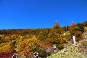 IMG_2027