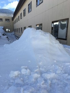IMG_2634