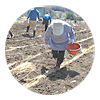 地産地消認定の宿
