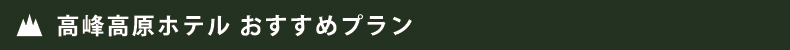 おすすめプラン